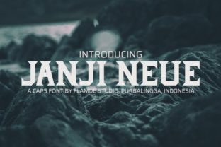 Janji Neue: The Font That Elevates Your Brand’s Visual Identity