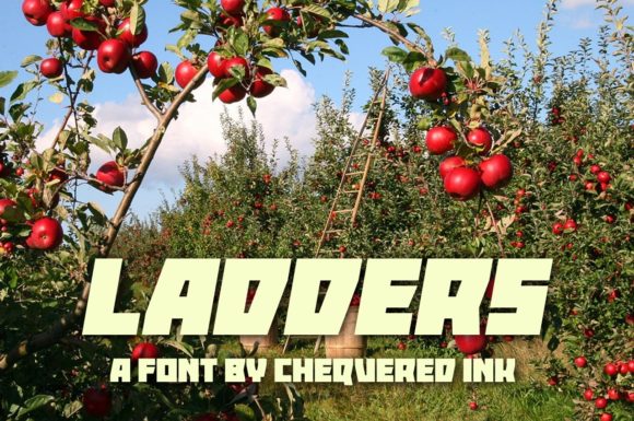 Ladders: A Display Font for Editorial Elegance and Modern Readability