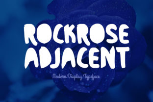 Rockrose Adjacent Font for Bold, Elegant Branding