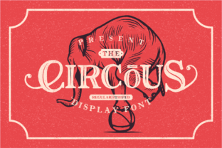 The Circous for Vintage Branding and Web Design